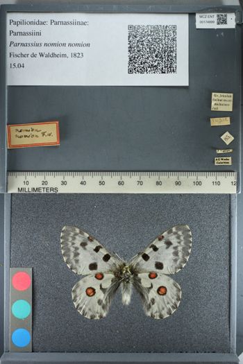 Media type: image;   Entomology 174999